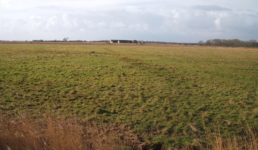 Image of Heigham Holmes Nature Reserve