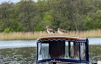 Boat Trips at The Waterside Rollesby