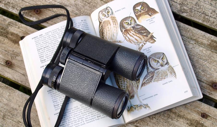 Binoculars and birdwatching guide